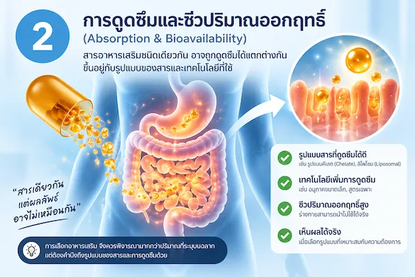 bariavit-supplement-info-02-absorption